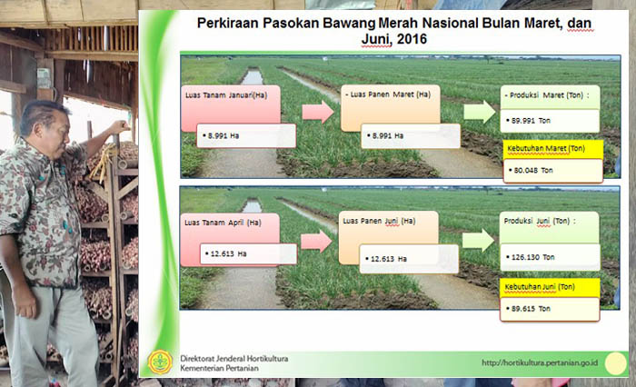 Petani Ancam Demo Kalau Pemerintah Restui Impor Bawang Merah